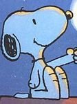 pic for good night snoopy